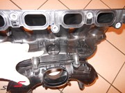 DSCN4619