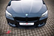 BMW F11 525 M Tech Performance Grill 27