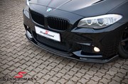 BMW F11 525 M Tech Performance Grill 28
