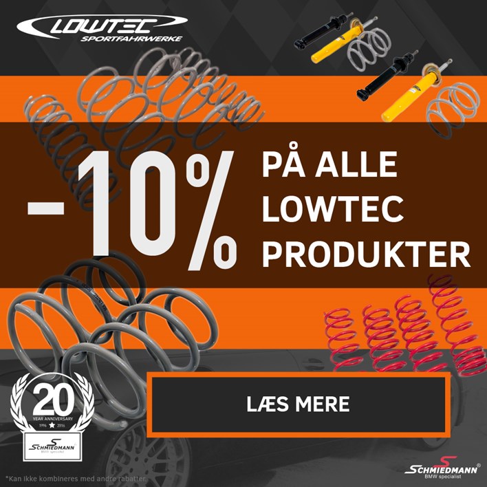 Lowtec Newsletter Button Dk