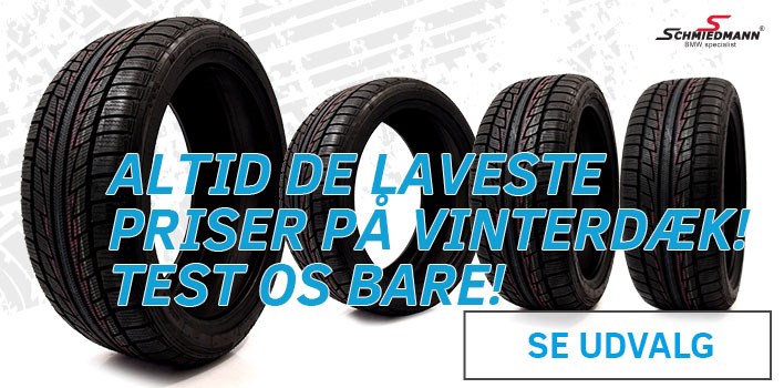 Loese Vinterdaek
