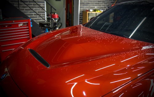 Gts Hood 2