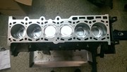 BMW S50 Build 80